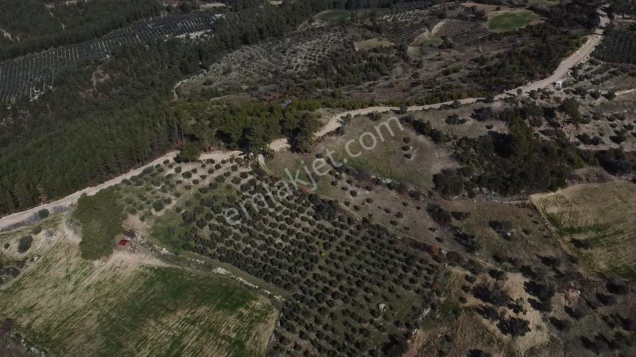 Çatak Mah. Kadastrol Yola Sıfır Büyük Yatırımlık Arazi - Görsel 8