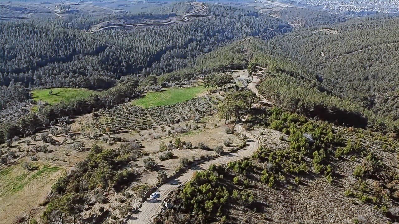 Çatak Mah. Kadastrol Yola Sıfır Büyük Yatırımlık Arazi - Görsel 35