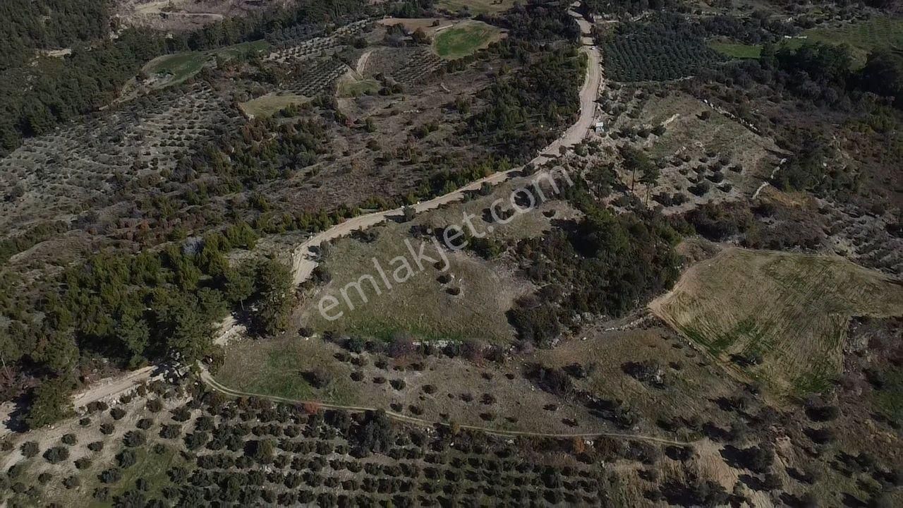 Çatak Mah. Kadastrol Yola Sıfır Büyük Yatırımlık Arazi - Görsel 15