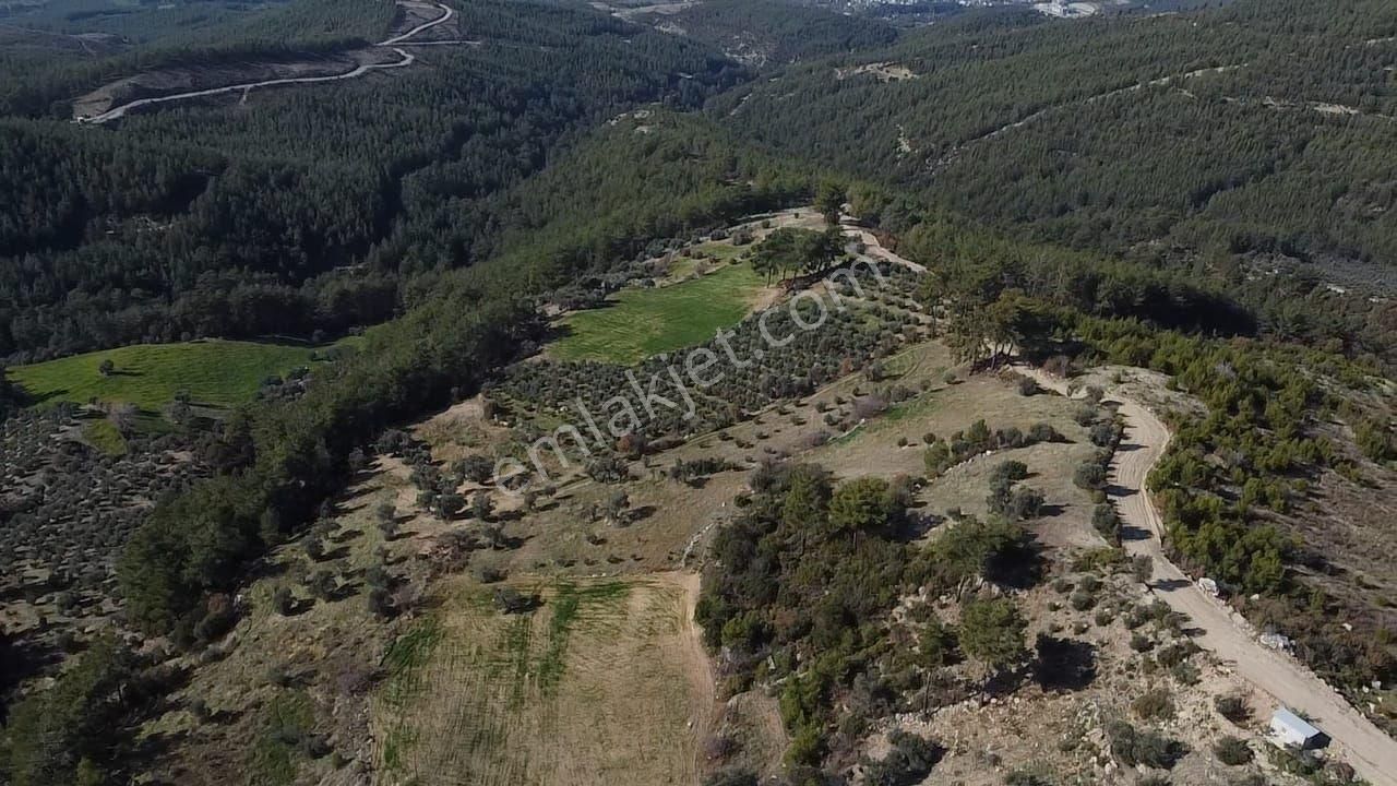 Çatak Mah. Kadastrol Yola Sıfır Büyük Yatırımlık Arazi