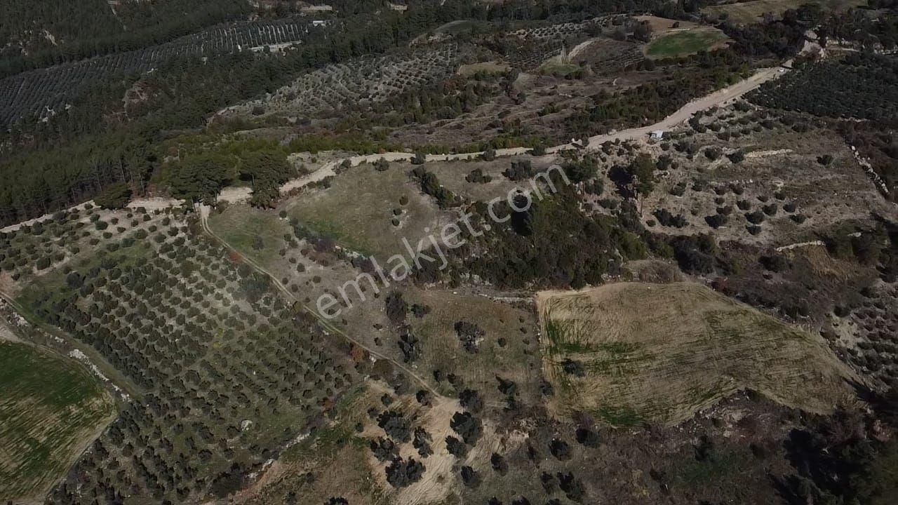 Çatak Mah. Kadastrol Yola Sıfır Büyük Yatırımlık Arazi - Görsel 26