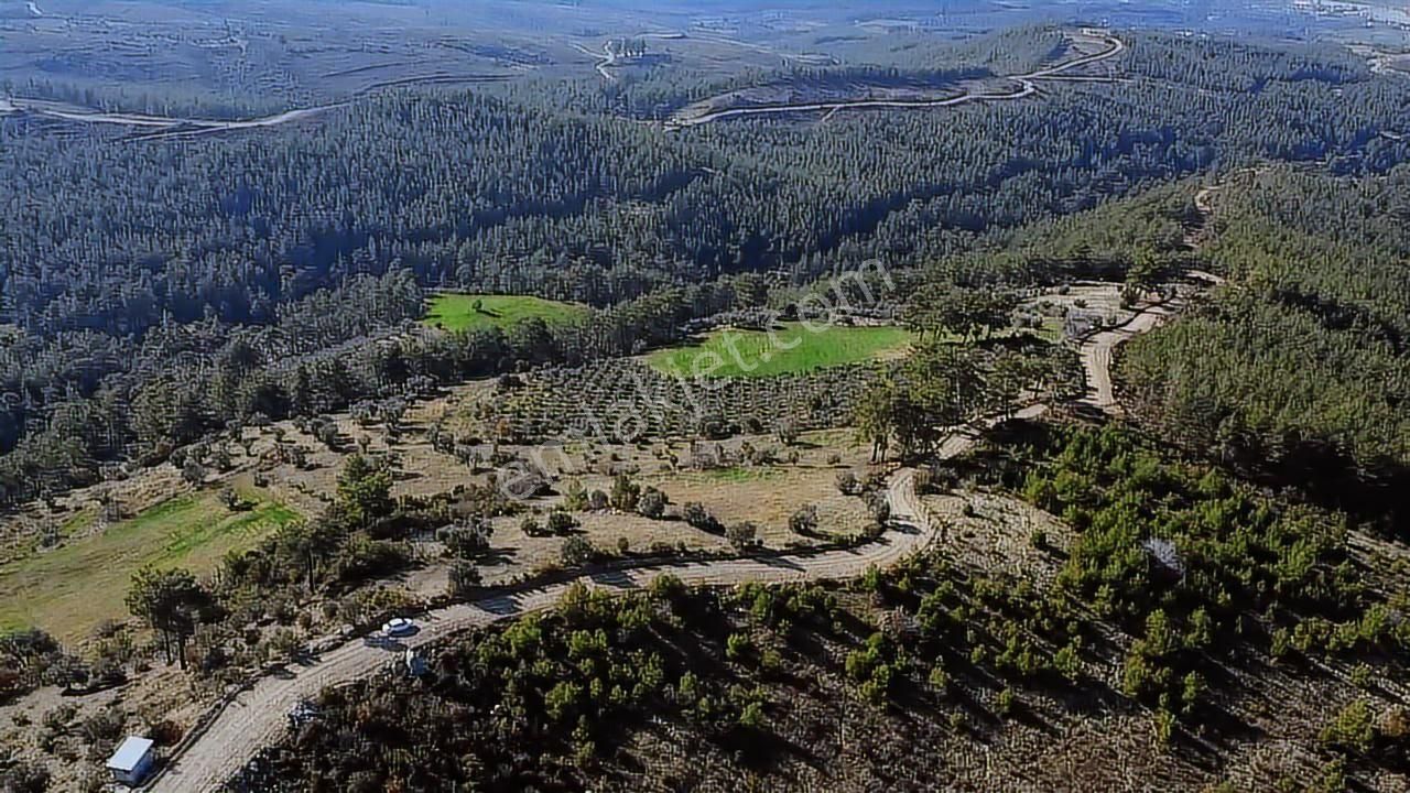 Çatak Mah. Kadastrol Yola Sıfır Büyük Yatırımlık Arazi - Görsel 10