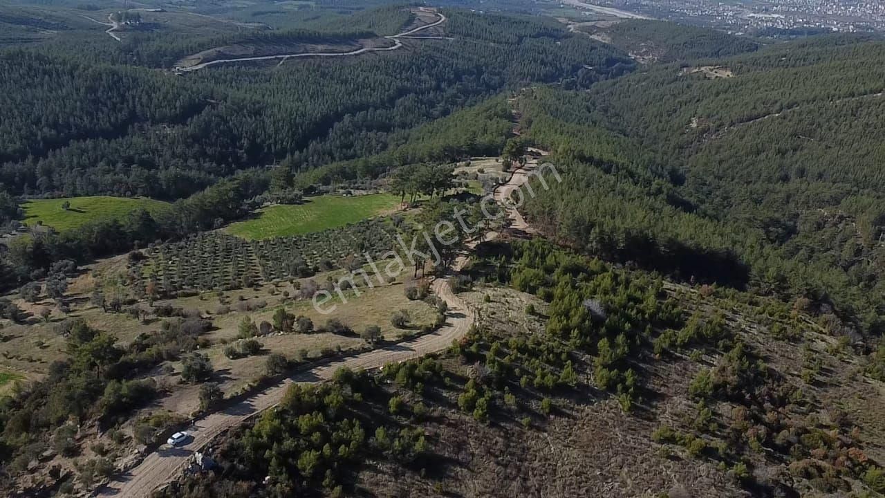 Çatak Mah. Kadastrol Yola Sıfır Büyük Yatırımlık Arazi - Görsel 12