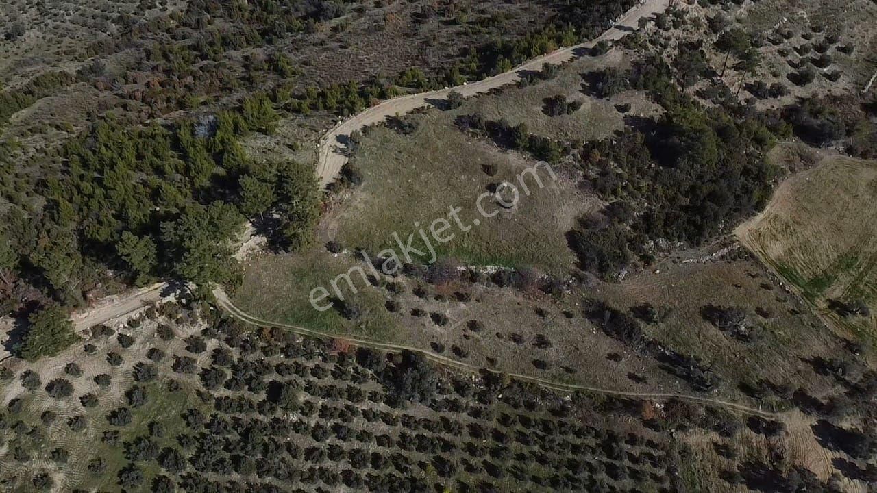Çatak Mah. Kadastrol Yola Sıfır Büyük Yatırımlık Arazi - Görsel 30