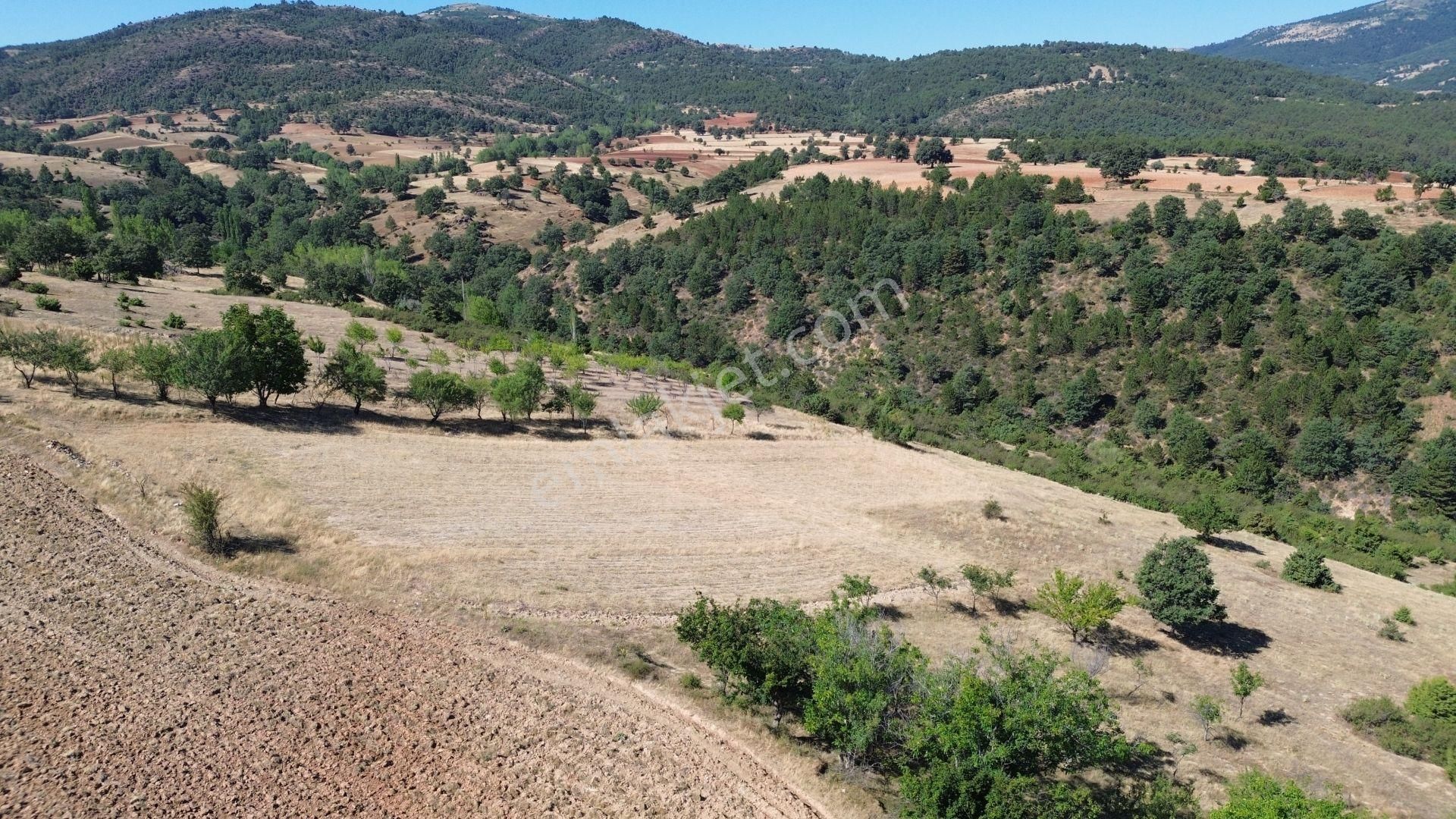 Konya / Doğanhisar / Kemer Mahallesinde 3.902 M² Müstakil Tapulu Tarla - Görsel 4