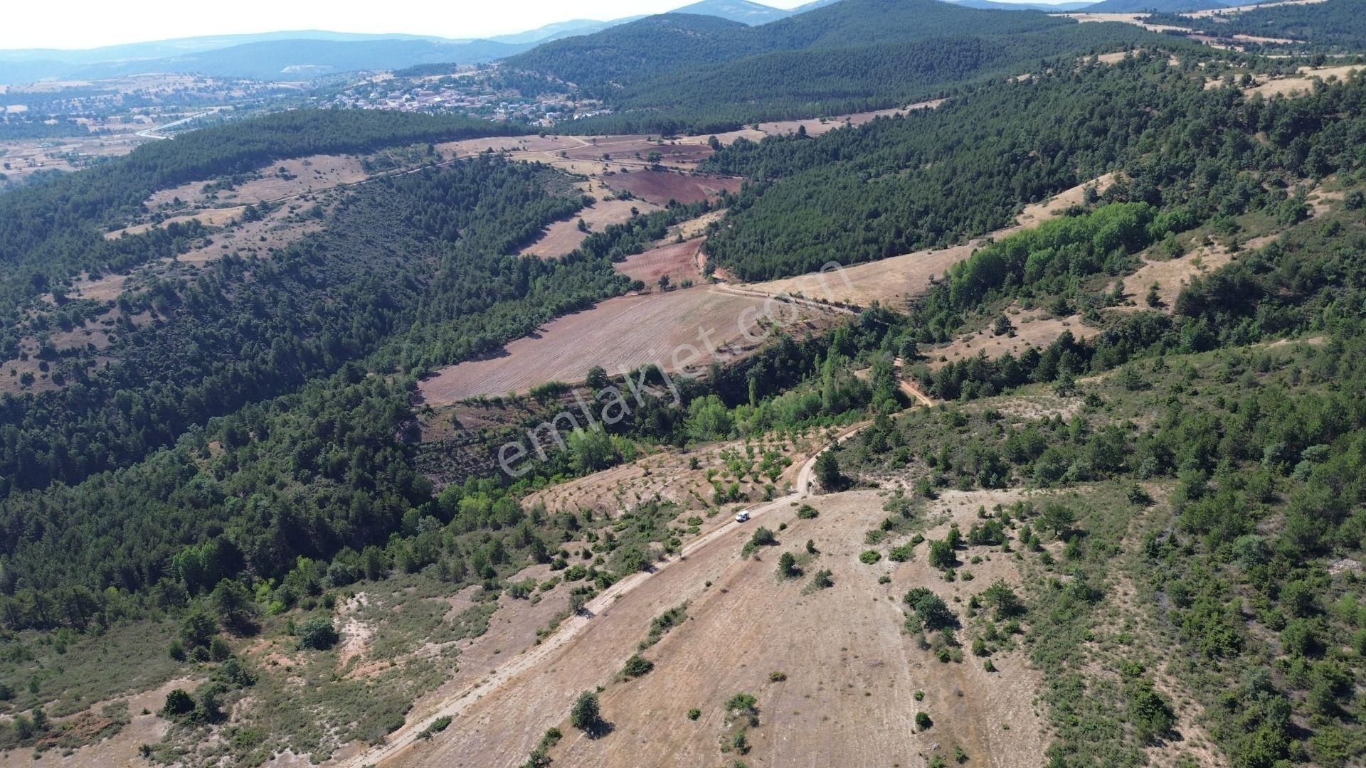 Konya / Doğanhisar / Kemer Mahallesinde 3.902 M² Müstakil Tapulu Tarla - Görsel 2