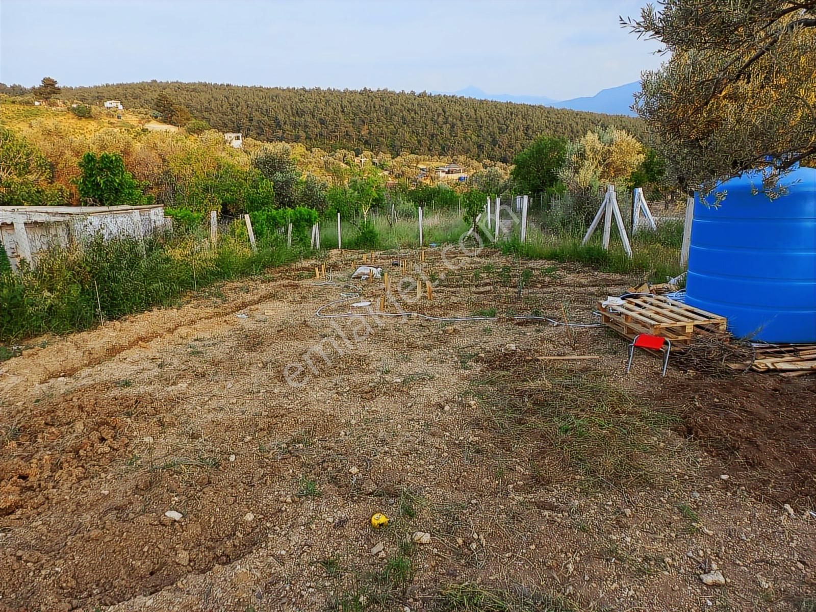 Kemalpaşa Ulucak Damlacıkta Satılık 250 M2 Arsa