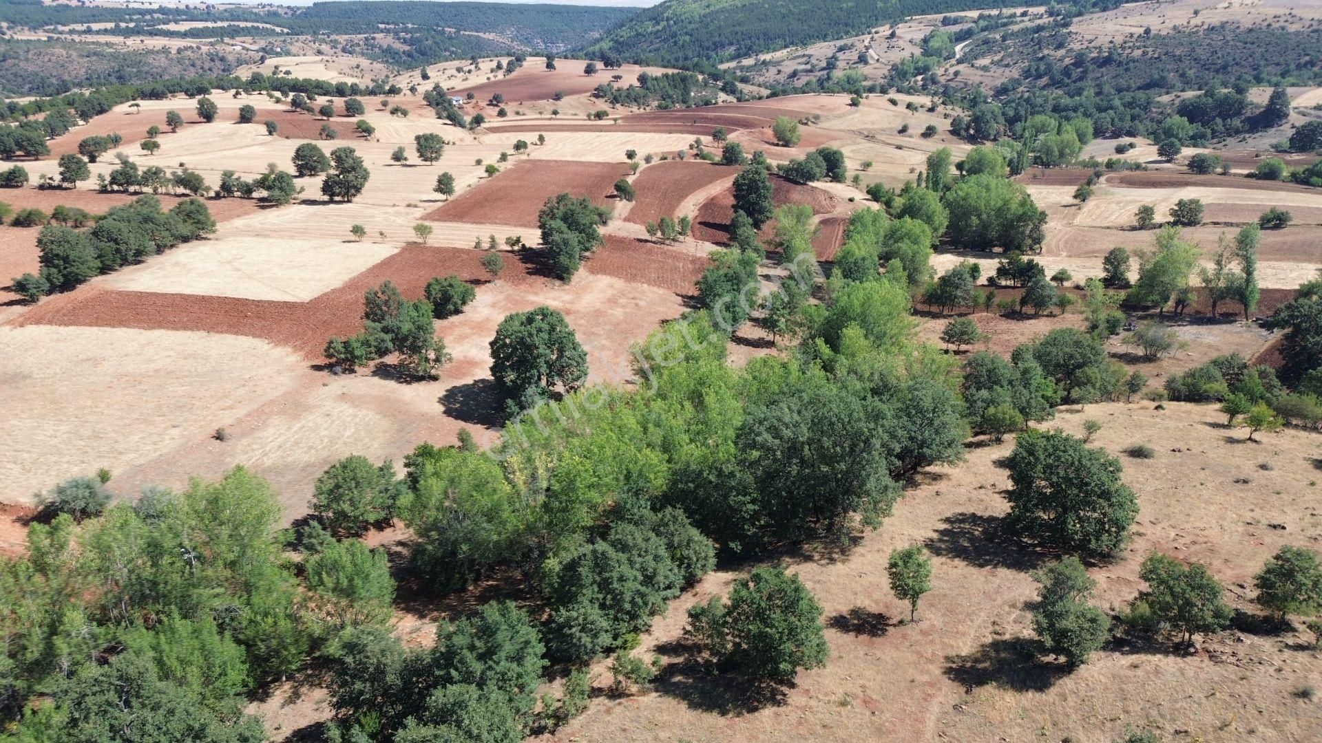 Konya / Doğanhisar / Kemer Mahallesinde 1.877 M² Hisse Tapulu Tarla - Görsel 6