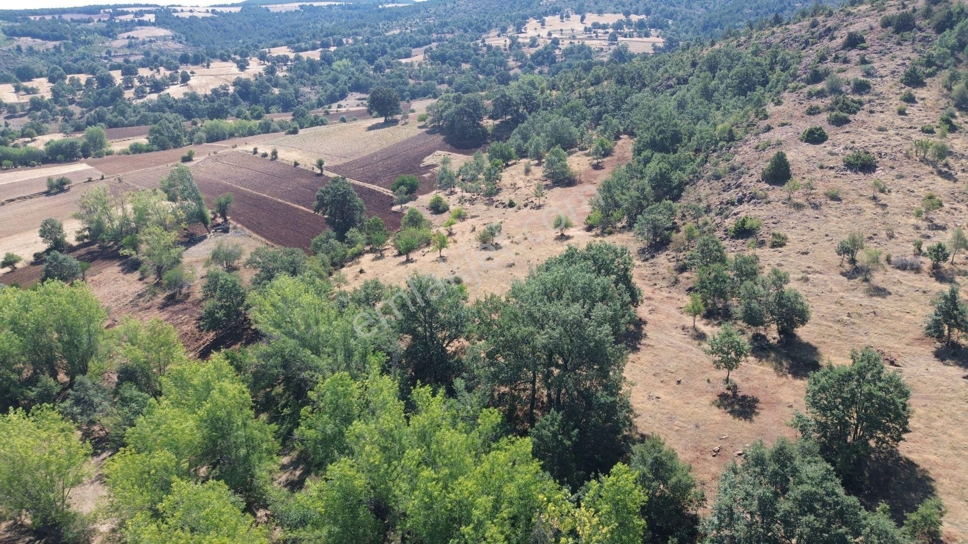 Konya / Doğanhisar / Kemer Mahallesinde 1.877 M² Hisse Tapulu Tarla - Görsel 5