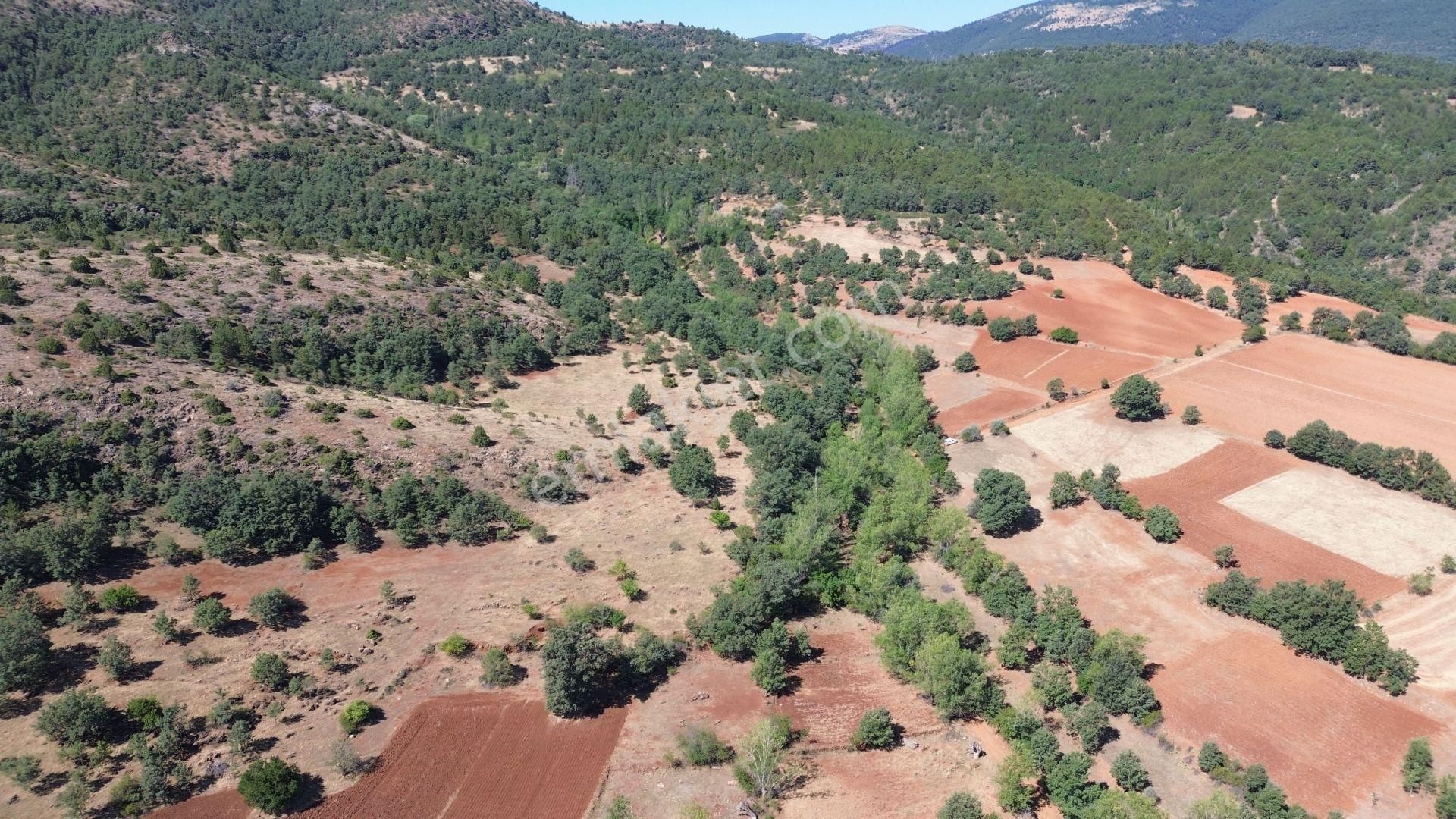 Konya / Doğanhisar / Kemer Mahallesinde 1.877 M² Hisse Tapulu Tarla - Görsel 7