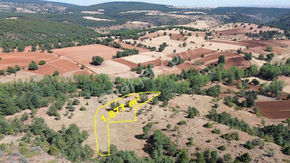 Konya / Doğanhisar / Kemer Mahallesinde 1.877 M² Hisse Tapulu Tarla