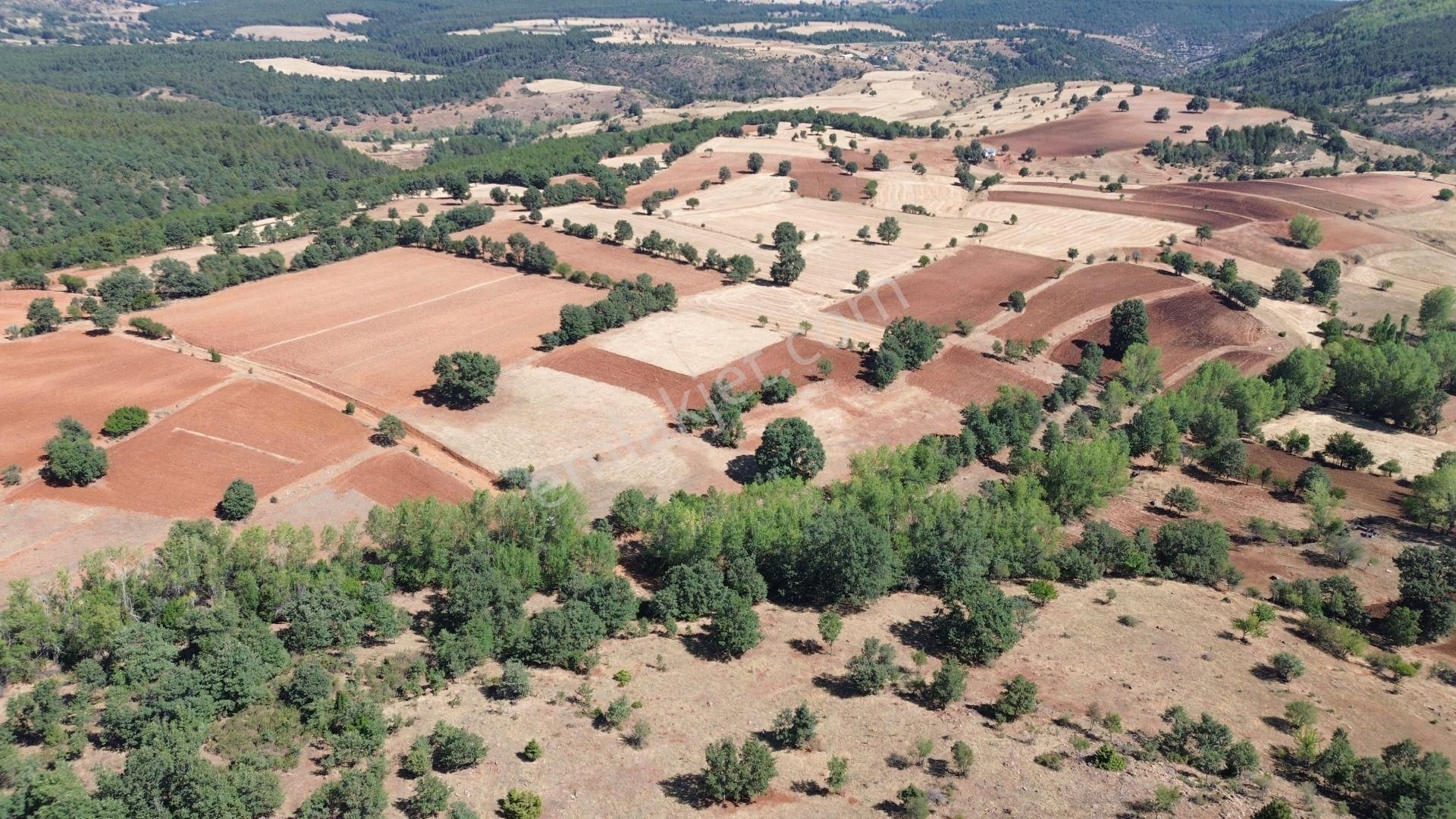 Konya / Doğanhisar / Kemer Mahallesinde 1.877 M² Hisse Tapulu Tarla - Görsel 2