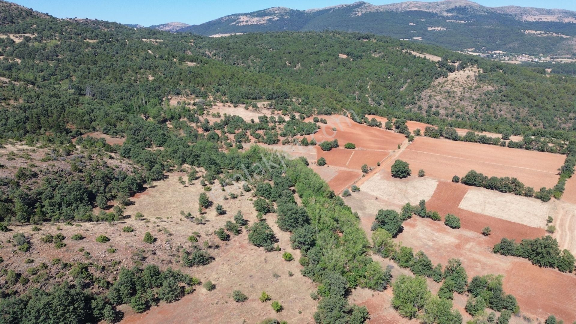 Konya / Doğanhisar / Kemer Mahallesinde 1.877 M² Hisse Tapulu Tarla - Görsel 3