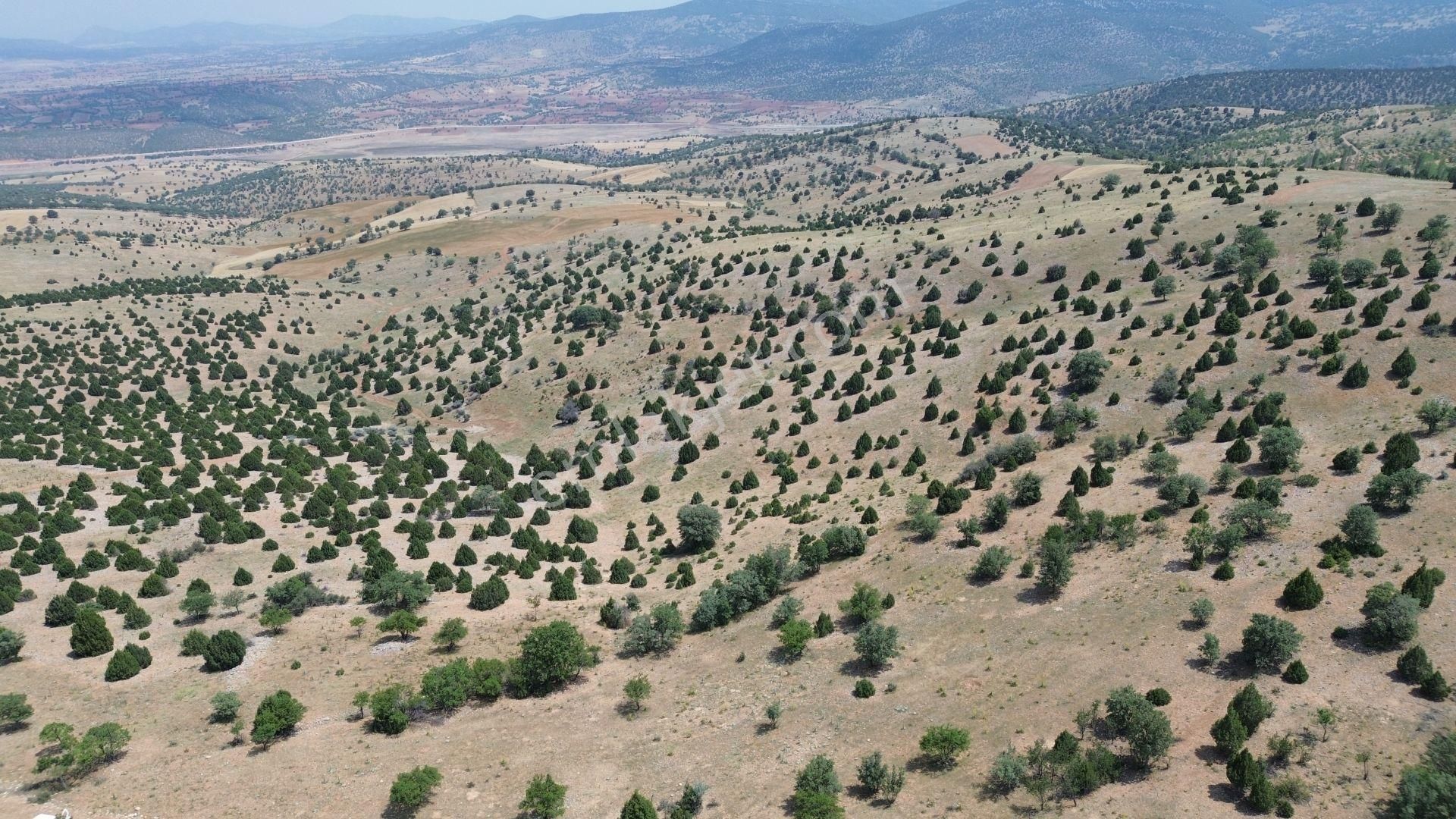 Konya / Akören / Alan Mahallesinde 7.491 M² Müstakil Tapulu Tarla - Görsel 2