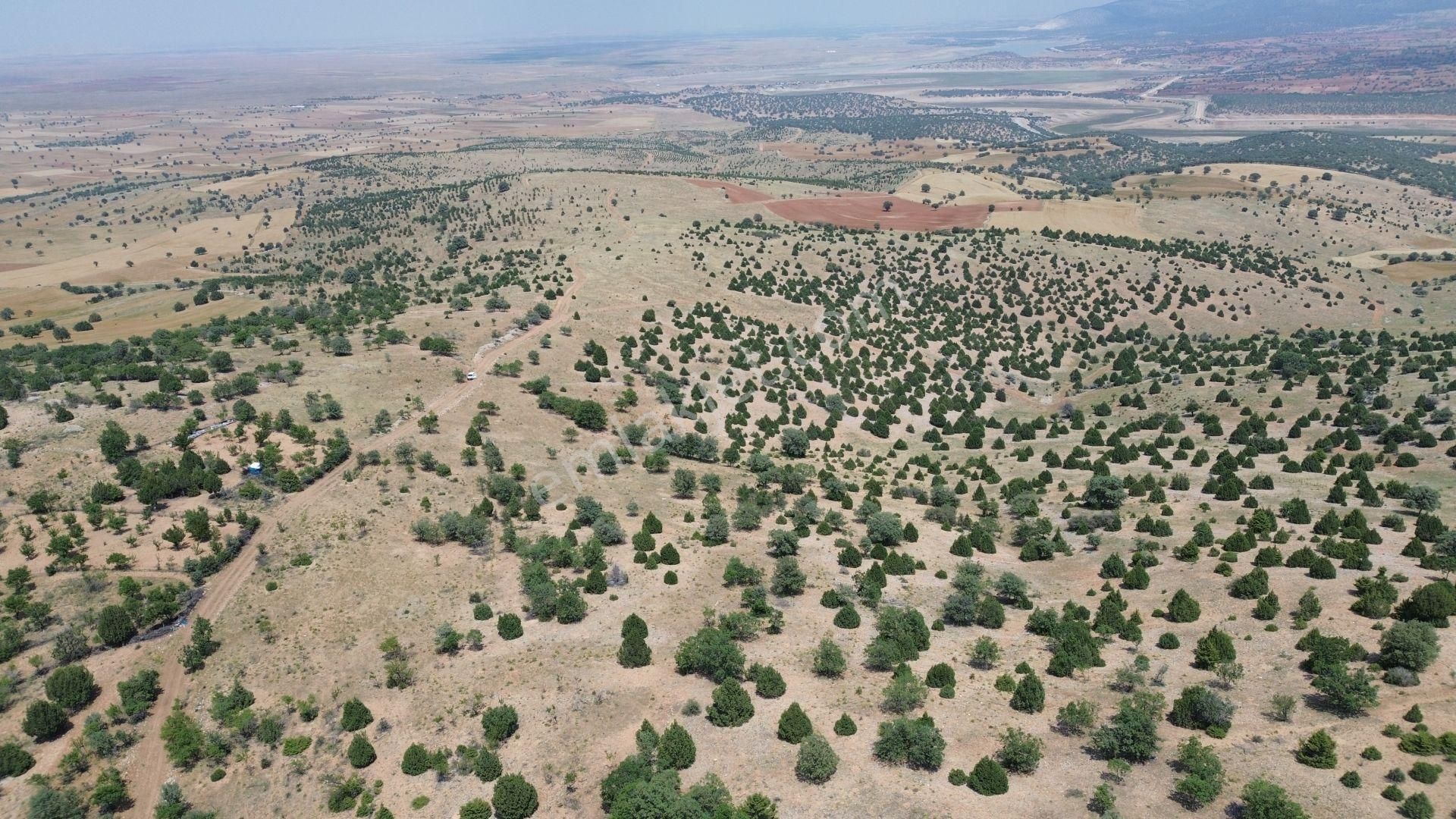 Konya / Akören / Alan Mahallesinde 7.491 M² Müstakil Tapulu Tarla - Görsel 8