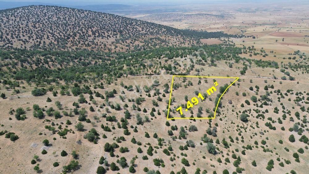 Konya / Akören / Alan Mahallesinde 7.491 M² Müstakil Tapulu Tarla - Görsel 5