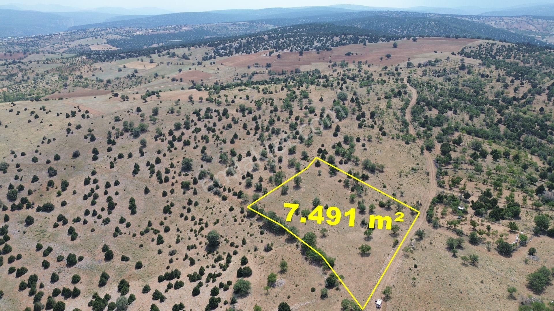 Konya / Akören / Alan Mahallesinde 7.491 M² Müstakil Tapulu Tarla
