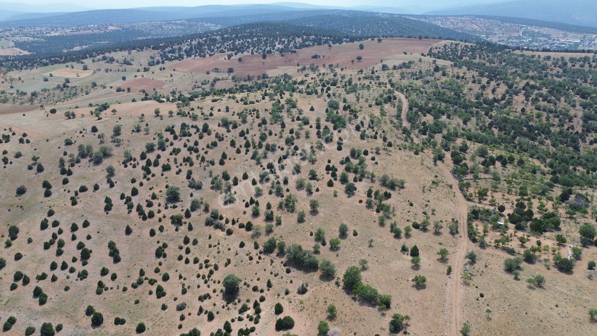 Konya / Akören / Alan Mahallesinde 7.491 M² Müstakil Tapulu Tarla - Görsel 3