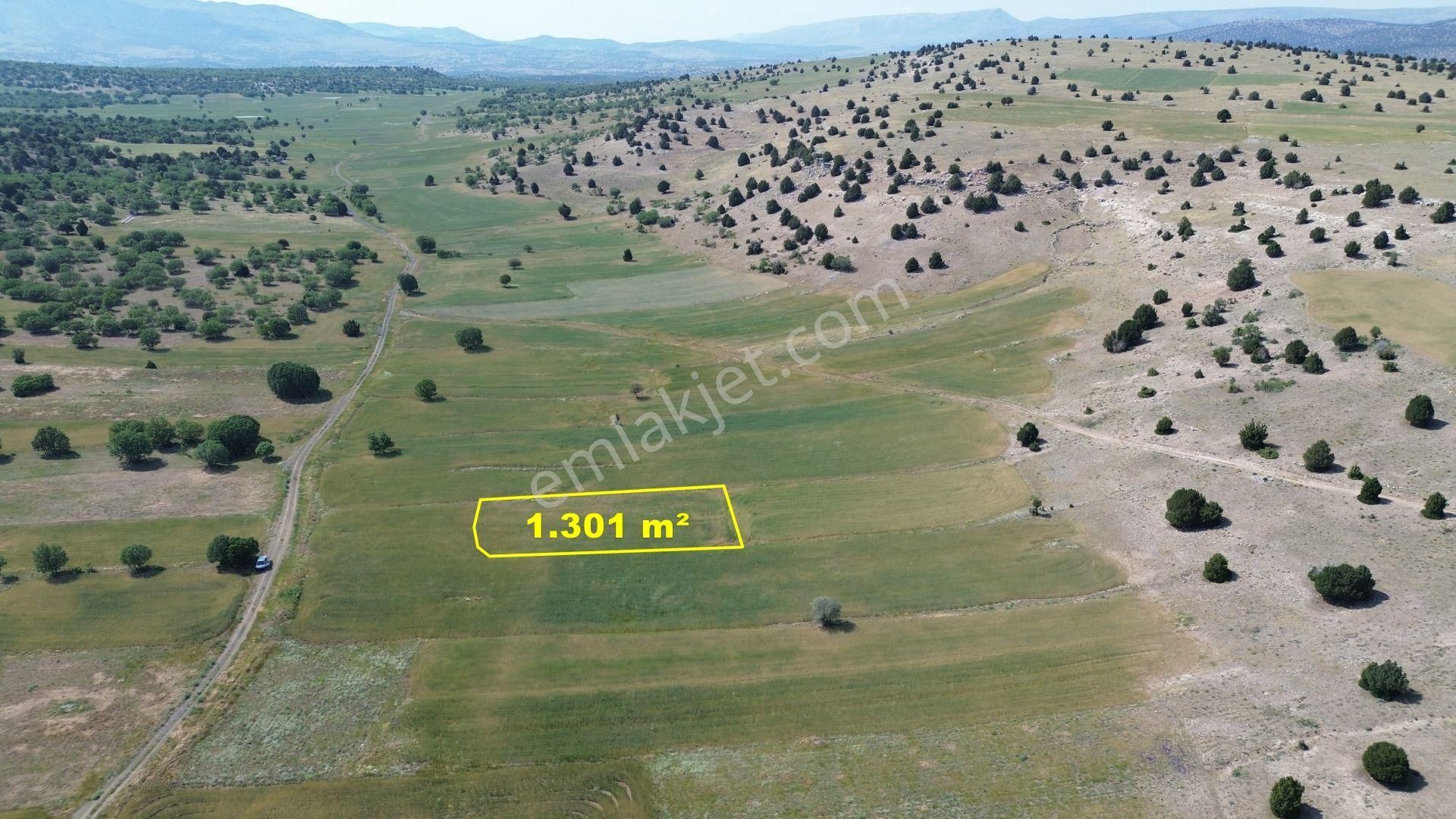 Konya / Meram / Kilistra Mahallesinde 1.301 M² Müstakil Tapulu Tarla