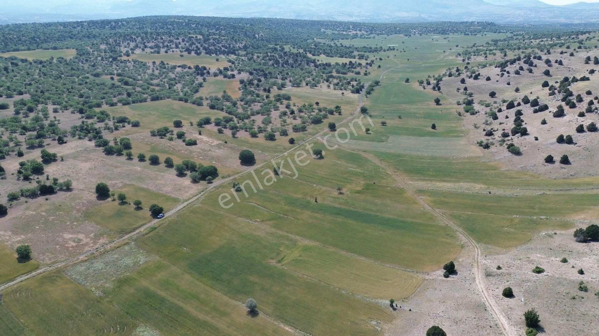 Konya / Meram / Kilistra Mahallesinde 1.301 M² Müstakil Tapulu Tarla - Görsel 8