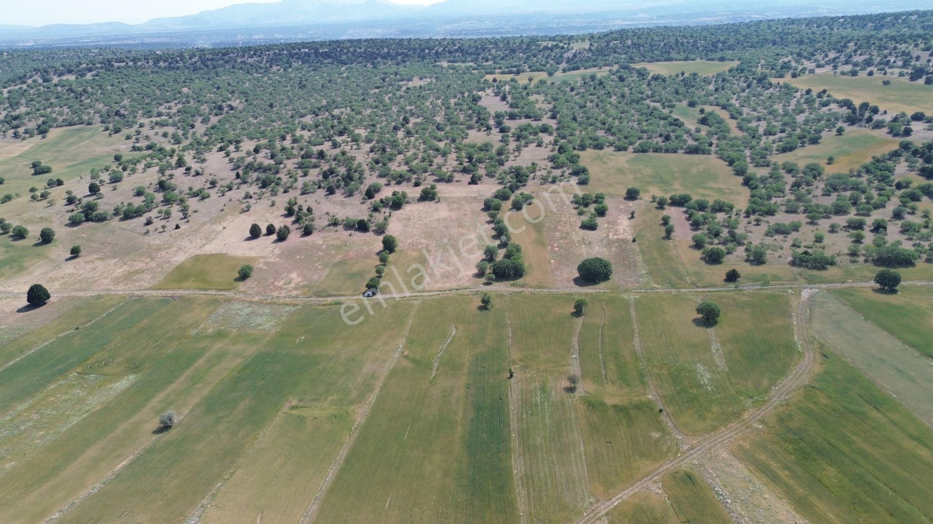Konya / Meram / Kilistra Mahallesinde 1.301 M² Müstakil Tapulu Tarla - Görsel 2