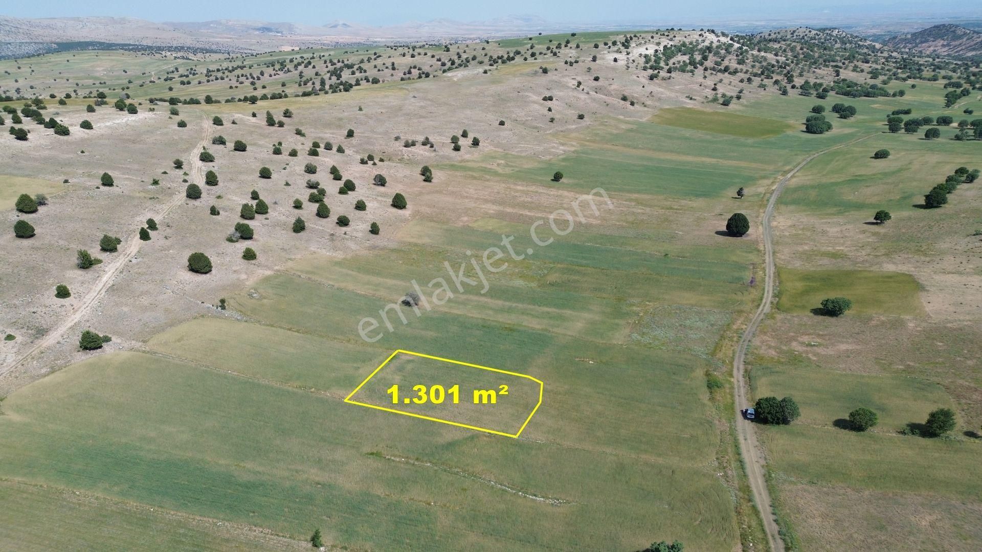 Konya / Meram / Kilistra Mahallesinde 1.301 M² Müstakil Tapulu Tarla - Görsel 4
