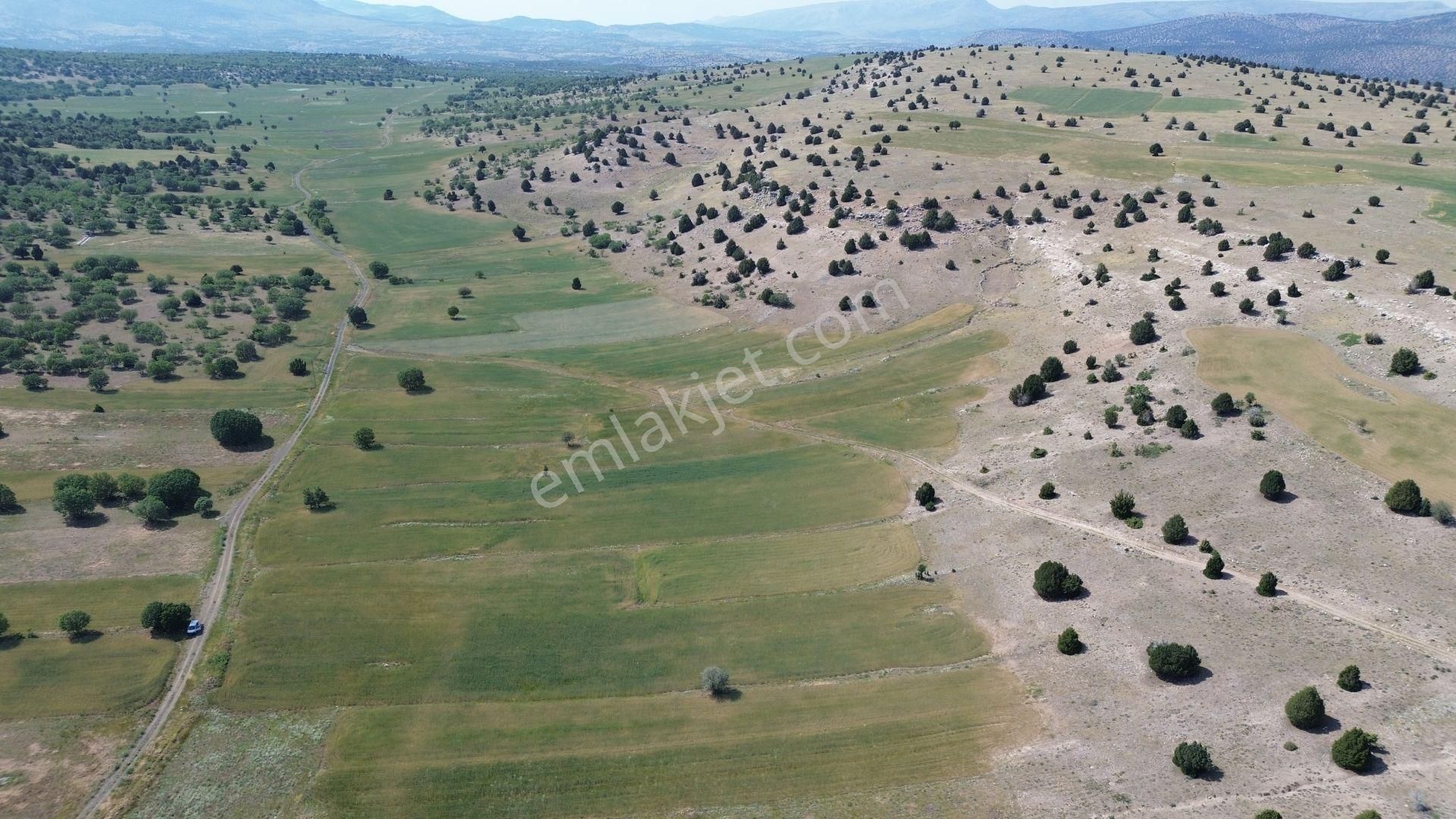 Konya / Meram / Kilistra Mahallesinde 1.301 M² Müstakil Tapulu Tarla - Görsel 5