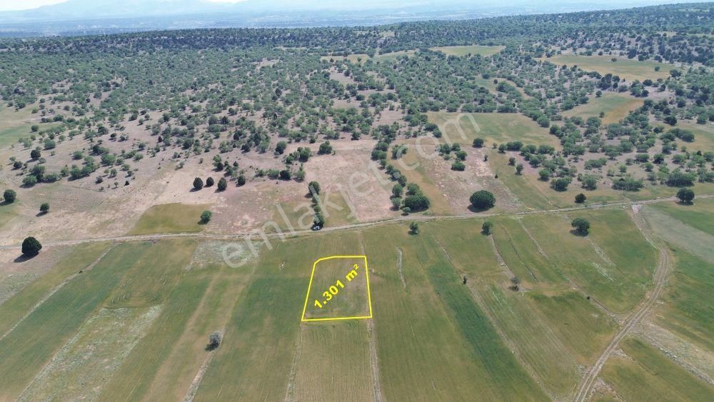 Konya / Meram / Kilistra Mahallesinde 1.301 M² Müstakil Tapulu Tarla - Görsel 6