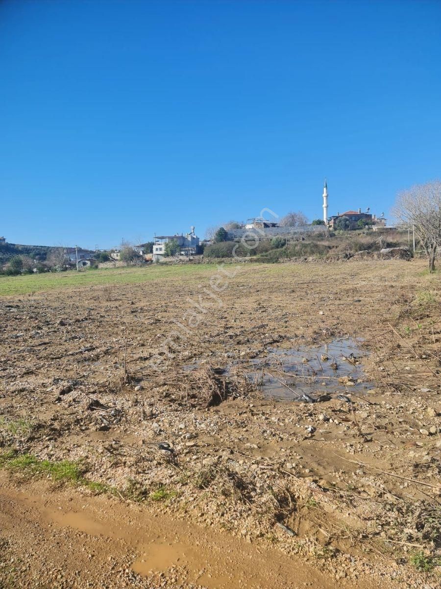 Evrenler Yavşi Satılık Tarla - Görsel 9