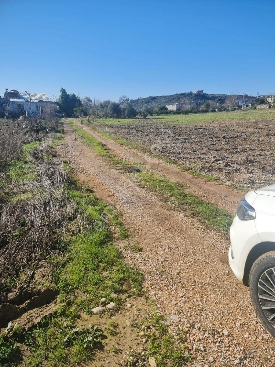 Evrenler Yavşi Satılık Tarla - Görsel 2