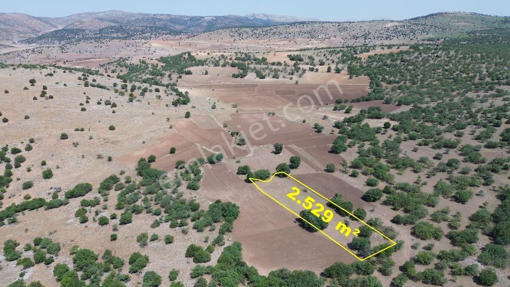 Konya / Meram / Kilistra Mahallesinde 2.529 M² Müstakil Tapulu Tarla - Görsel 5