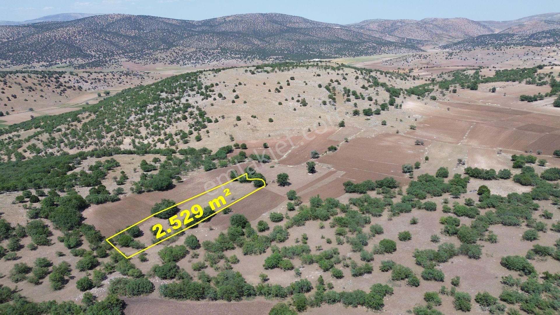 Konya / Meram / Kilistra Mahallesinde 2.529 M² Müstakil Tapulu Tarla - Görsel 2