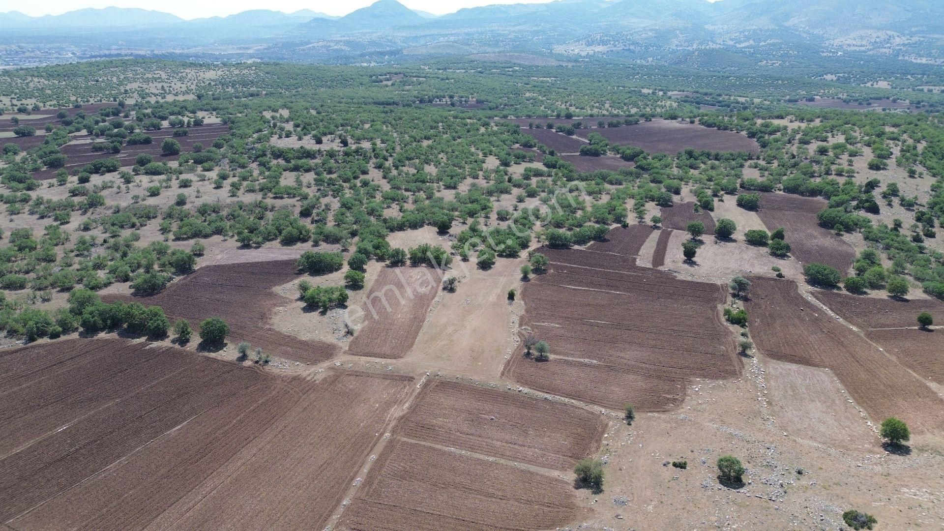 Konya / Meram / Kilistra Mahallesinde 2.529 M² Müstakil Tapulu Tarla - Görsel 9