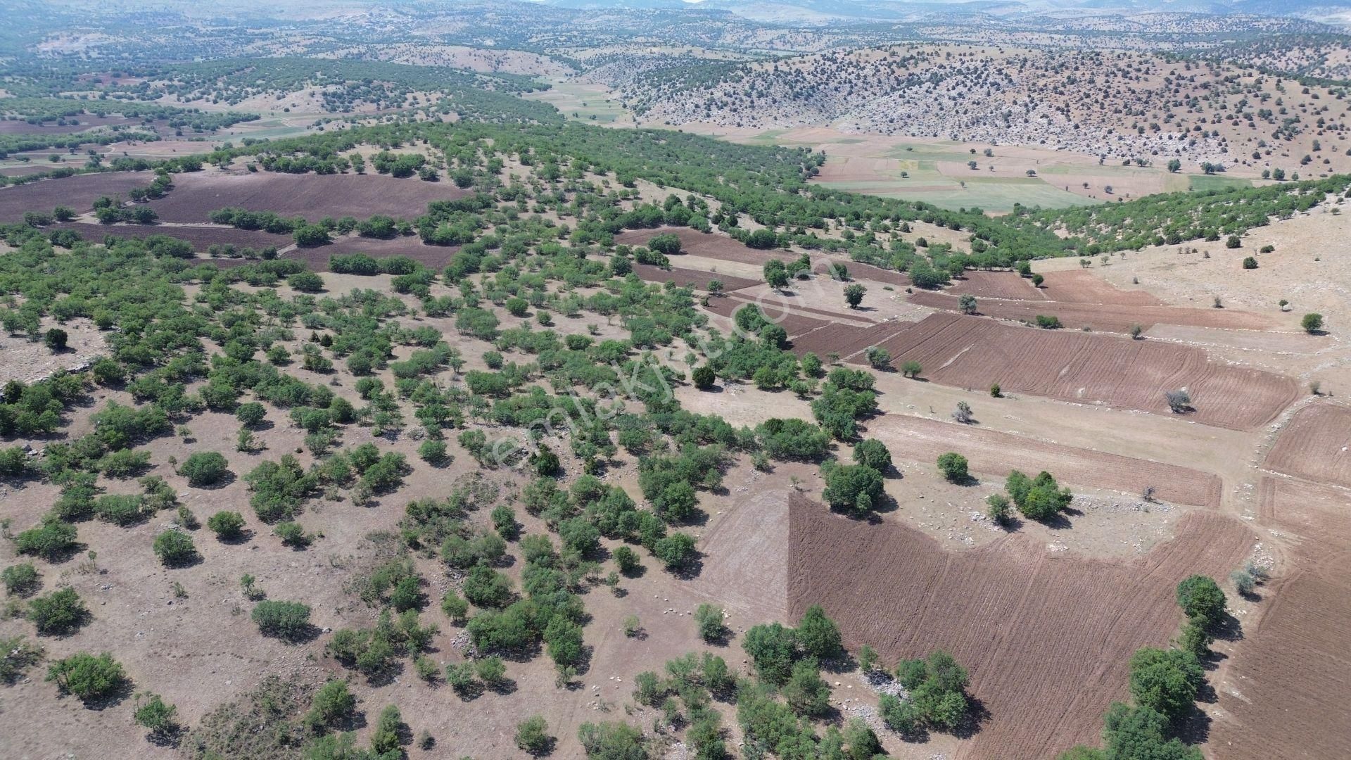 Konya / Meram / Kilistra Mahallesinde 2.529 M² Müstakil Tapulu Tarla - Görsel 7