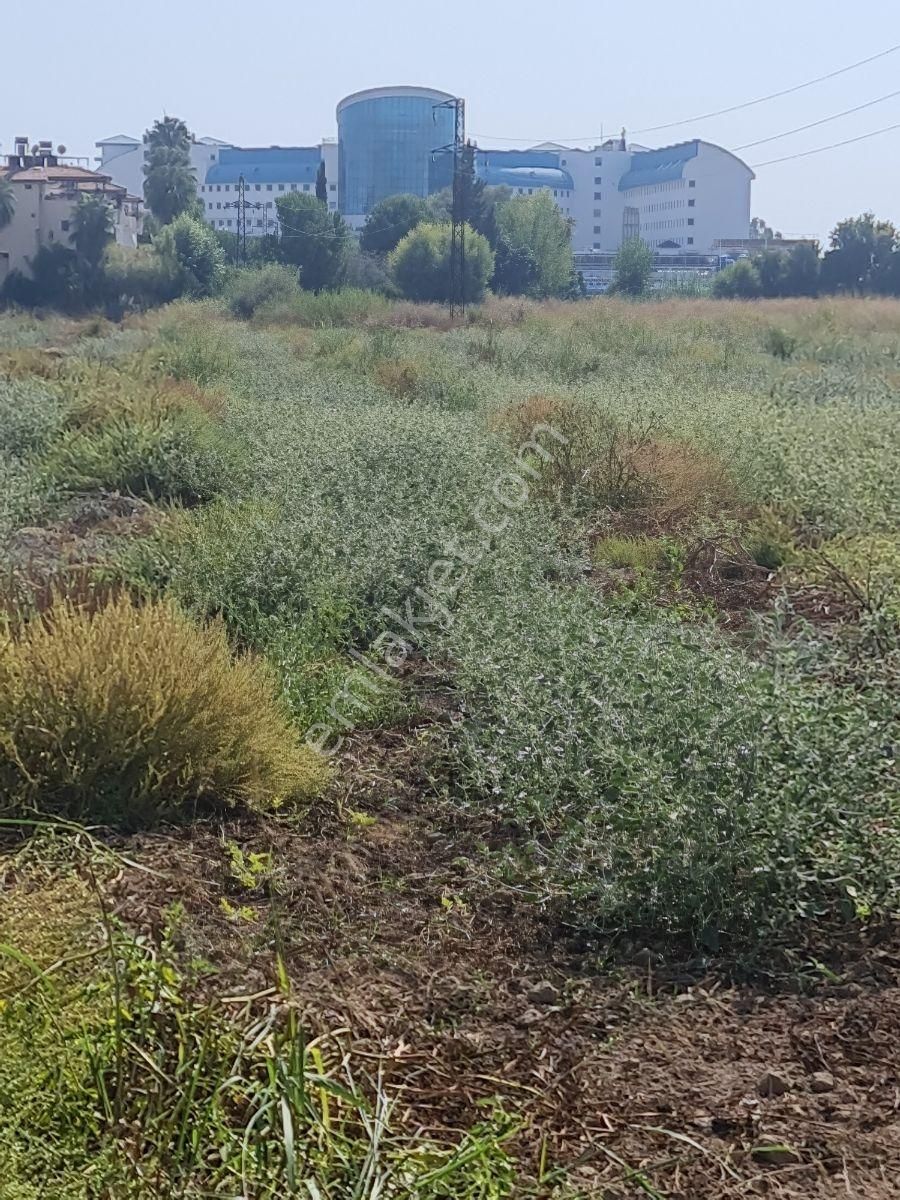 Satılık Tarla - Görsel 5