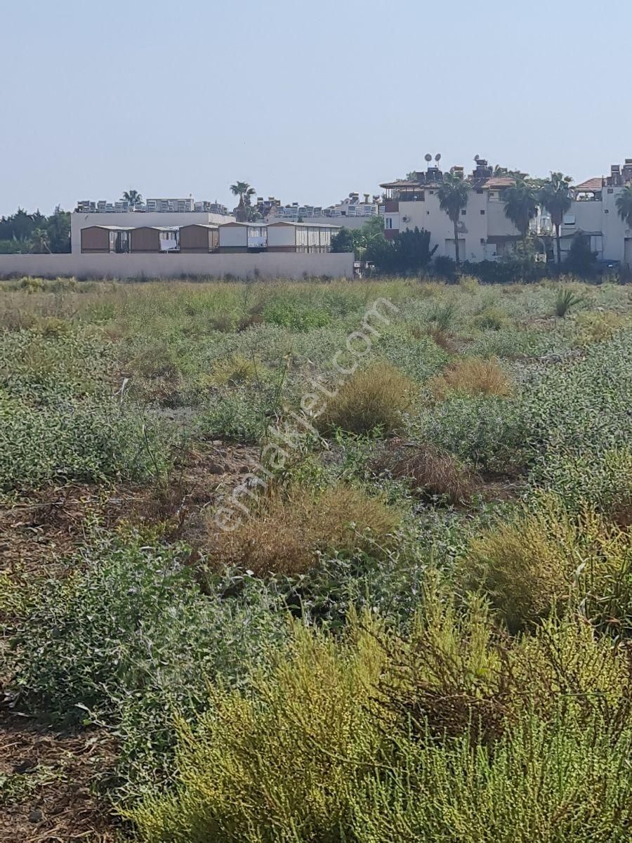 Satılık Tarla