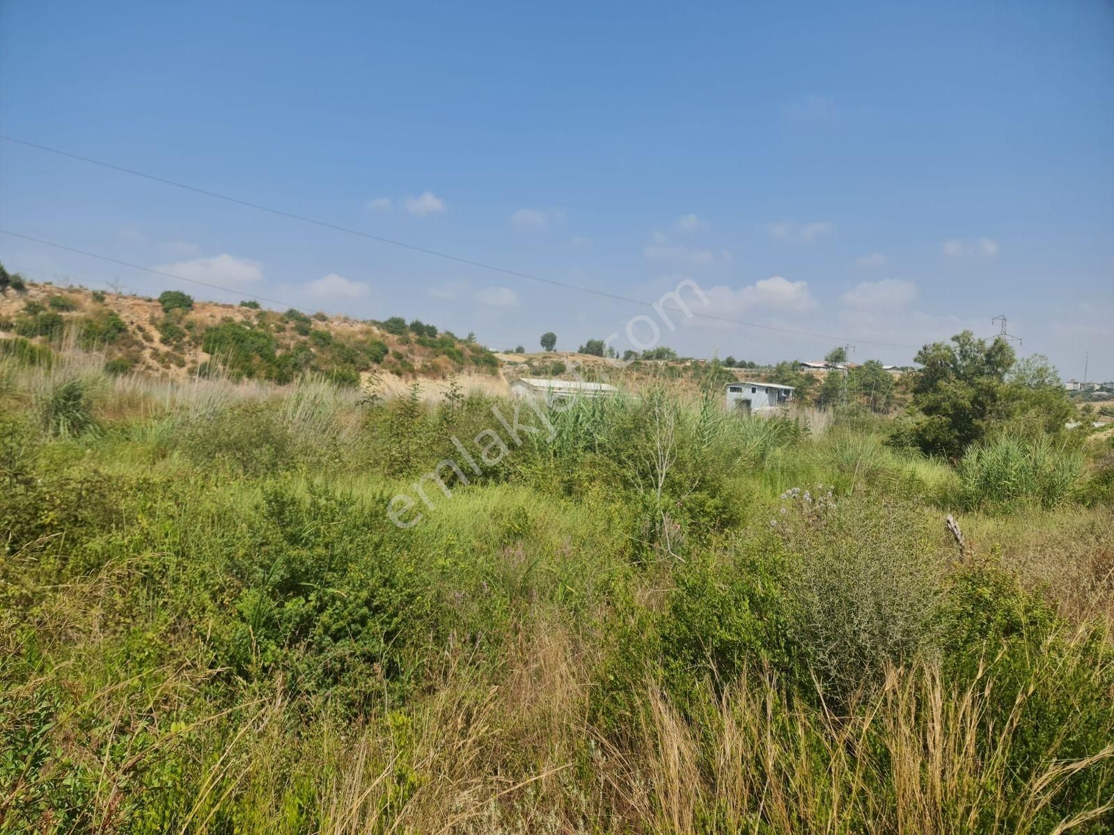 Satılık Tarla - Görsel 2