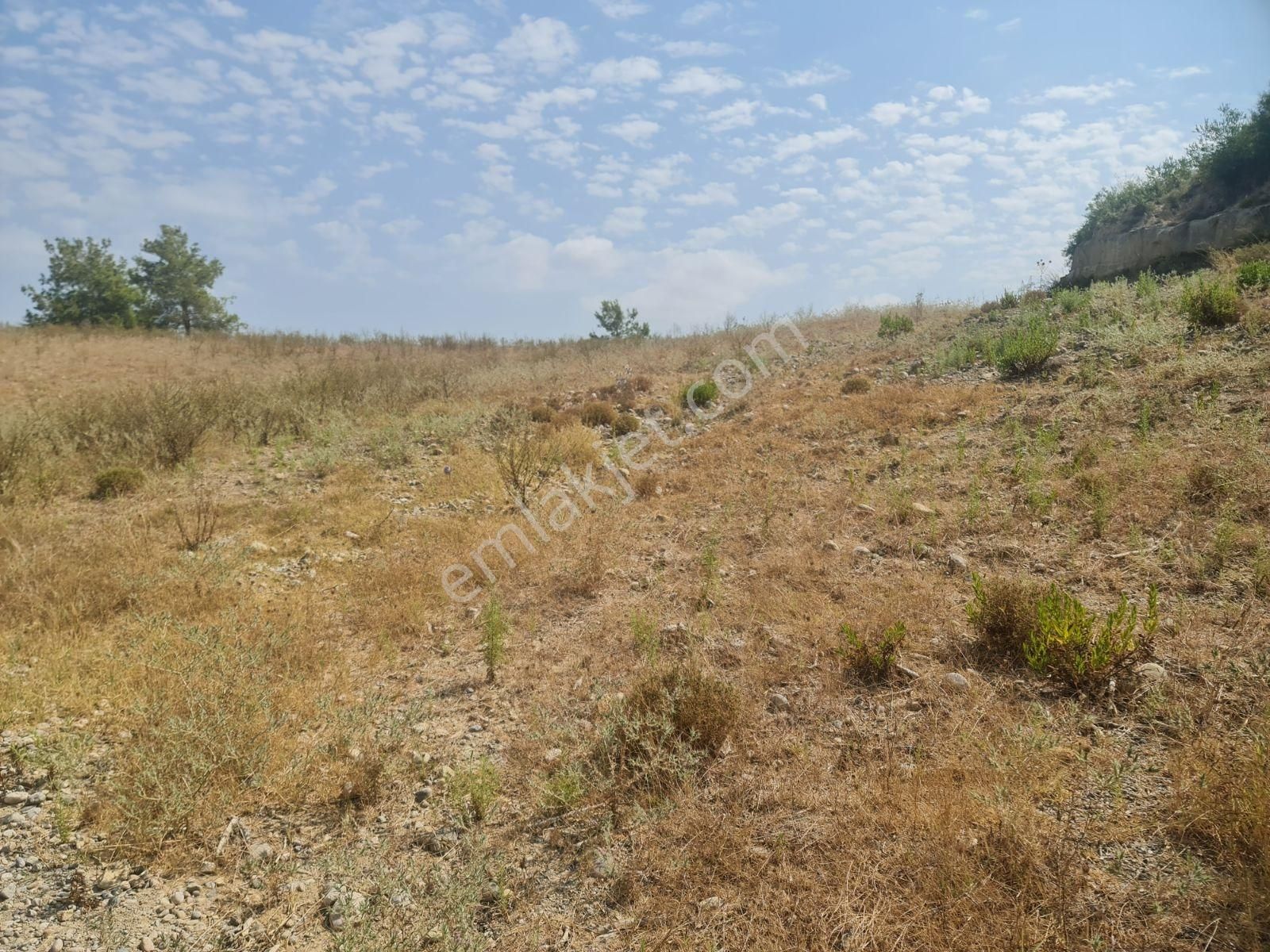 Satılık Tarla - Görsel 4