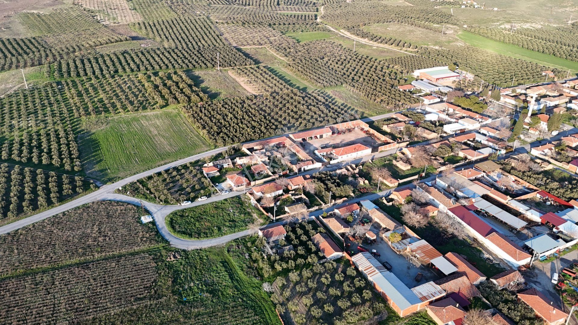 Rahmiye Mah. Girişte 3 Tarafı Yol | 1650 M² Konut İmarlı Arsa - Görsel 25