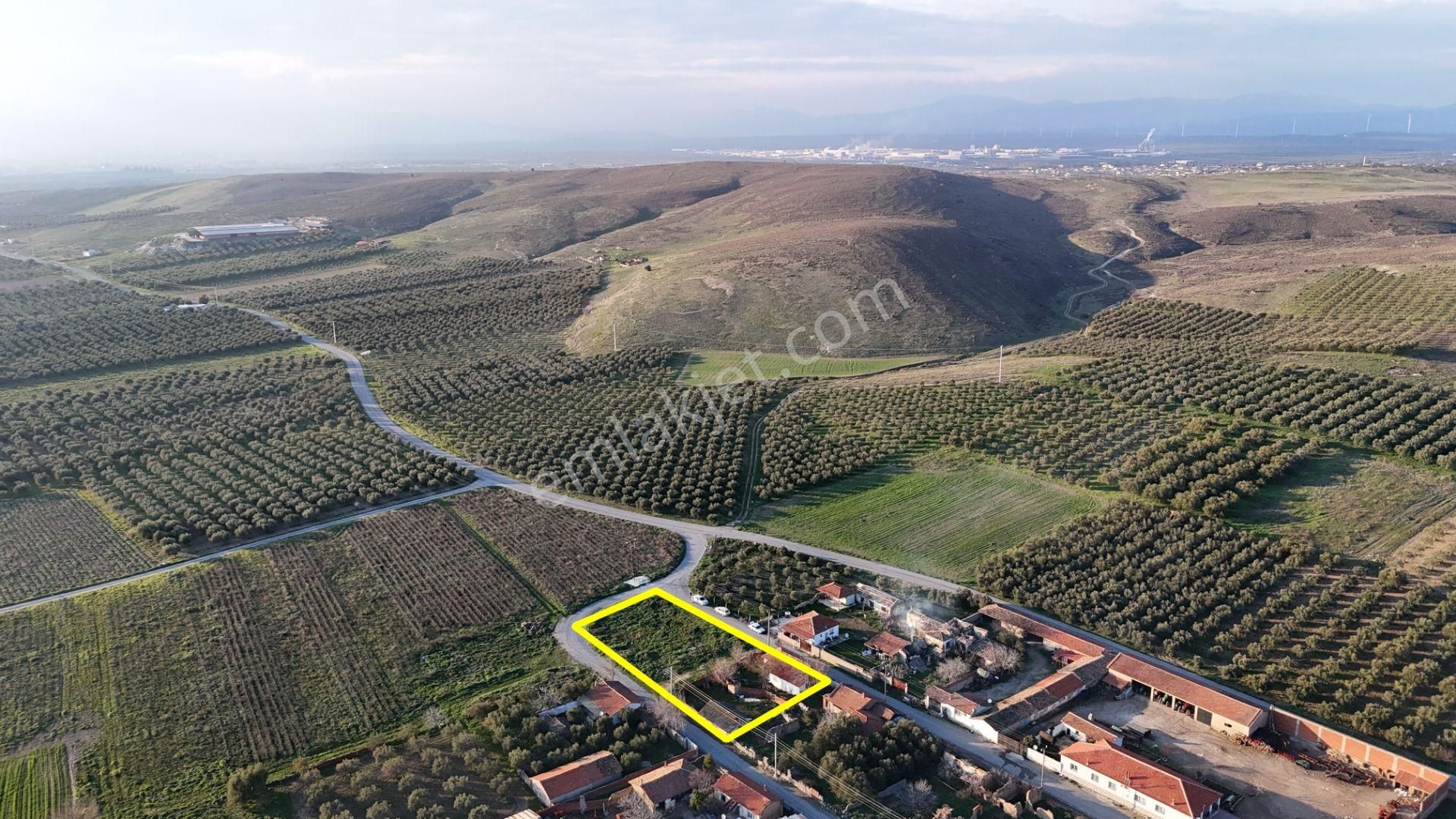 Rahmiye Mah. Girişte 3 Tarafı Yol | 1650 M² Konut İmarlı Arsa - Görsel 12