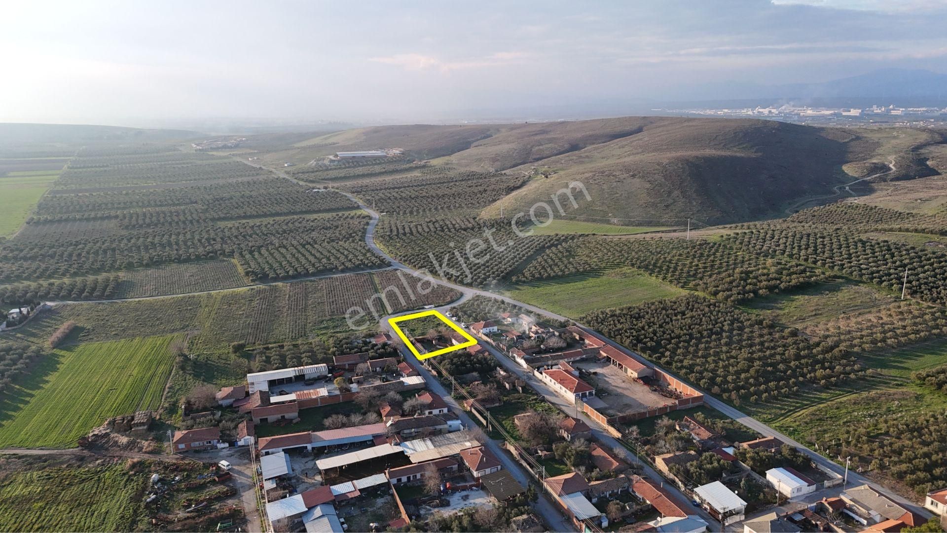 Rahmiye Mah. Girişte 3 Tarafı Yol | 1650 M² Konut İmarlı Arsa - Görsel 14