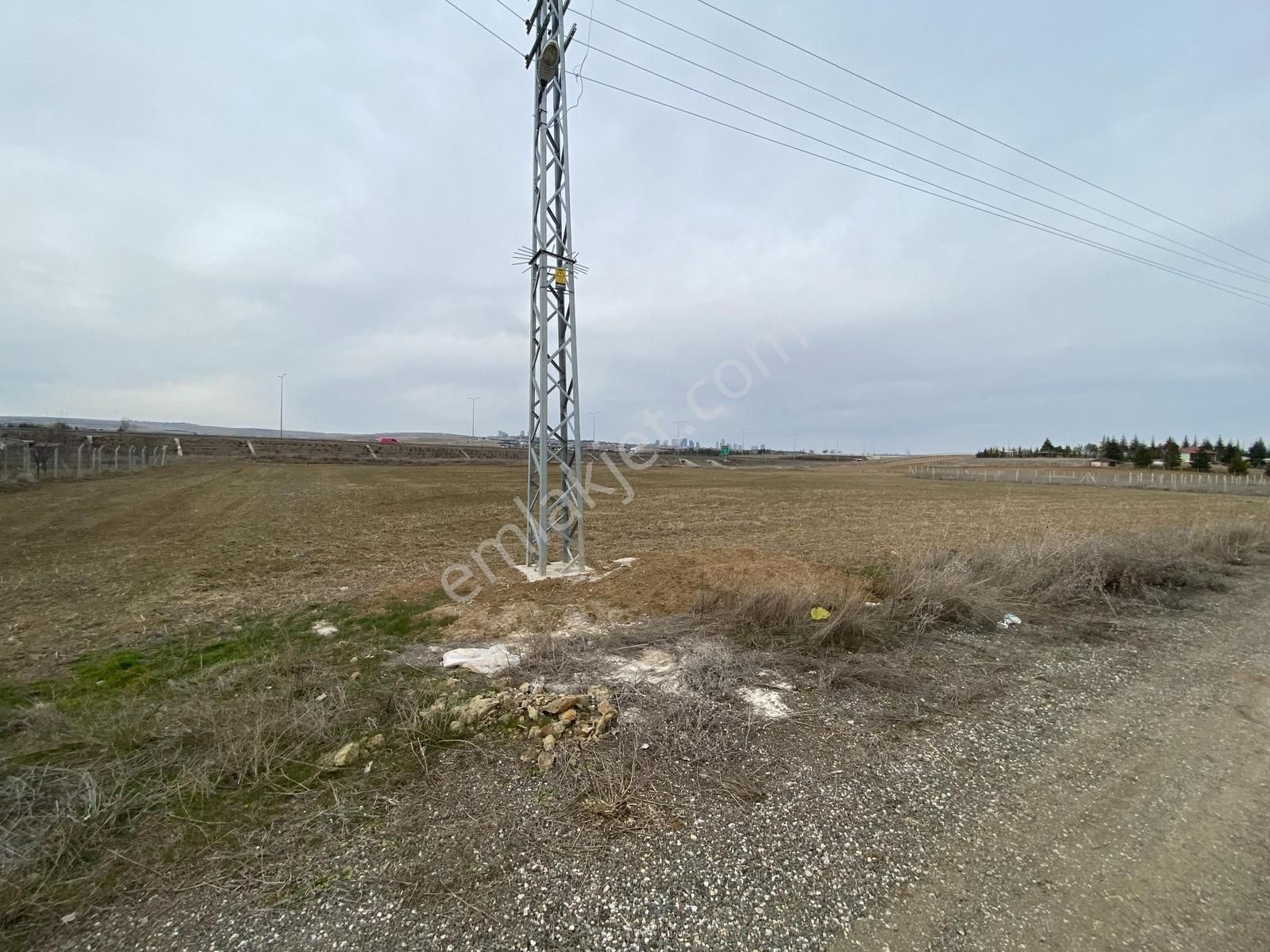 Hacılarda 1576 M2 Hisse Tapu Arsa Köşe Parsel Karadeniz Emlaktan - Görsel 13