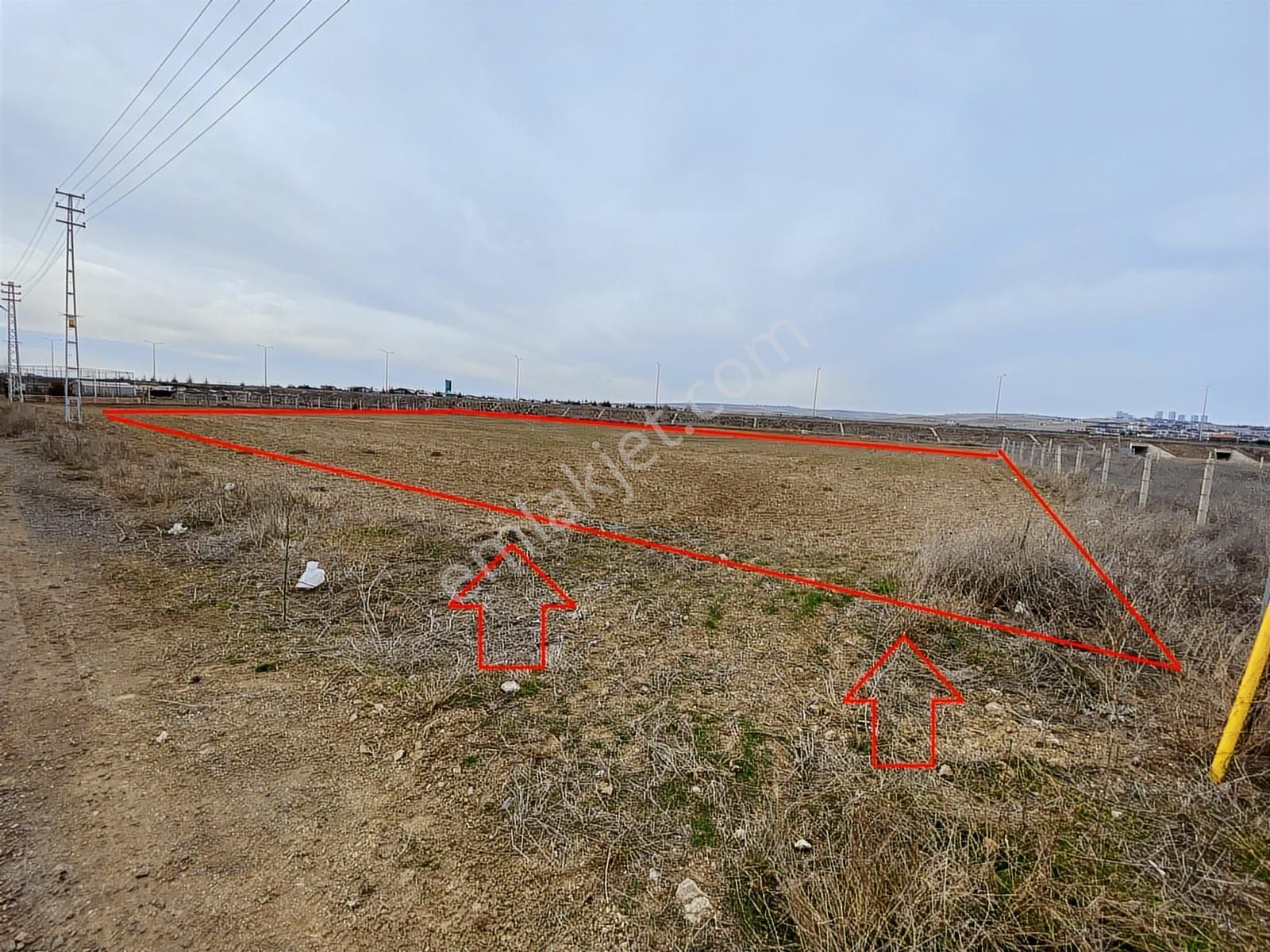 Hacılarda 1576 M2 Hisse Tapu Arsa Köşe Parsel Karadeniz Emlaktan - Görsel 14