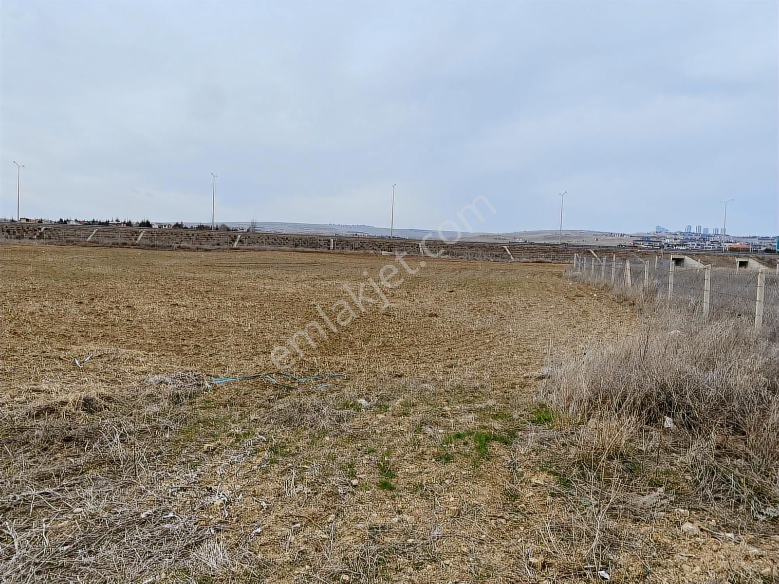 Hacılarda 1576 M2 Hisse Tapu Arsa Köşe Parsel Karadeniz Emlaktan - Görsel 15