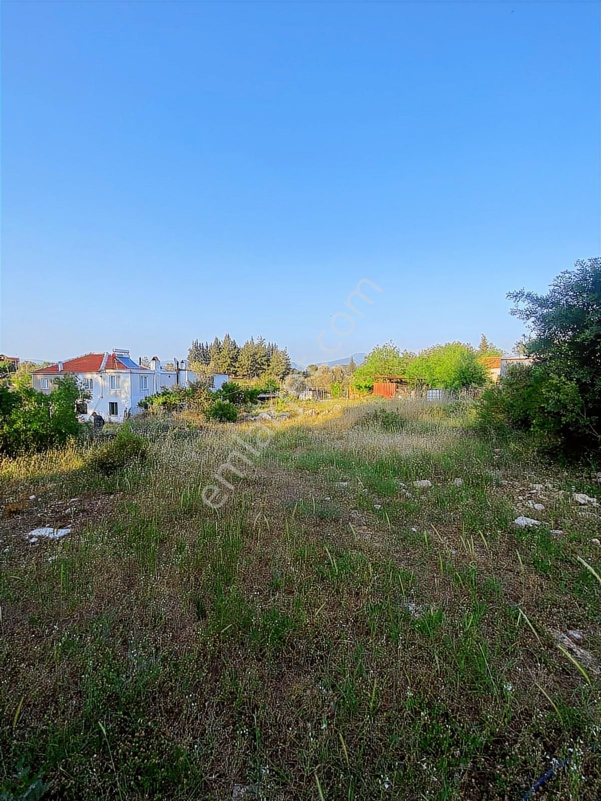 Milas Karacahisar Köyiçinde Satılık Tarla - Görsel 7