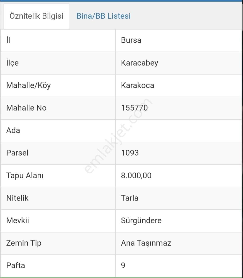 Tırpan'dan Karakoca'da 8000m2 Daire Araç Takaslı Fırsat Tarla