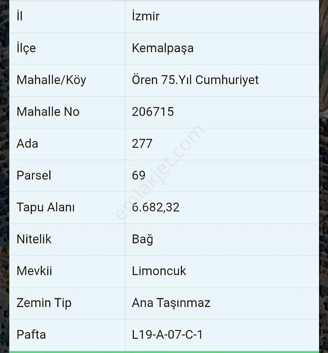 Kemalpaşa Ören'de 75.yıl Cumhuriyet Mevkide Satılık Tarla - Görsel 3