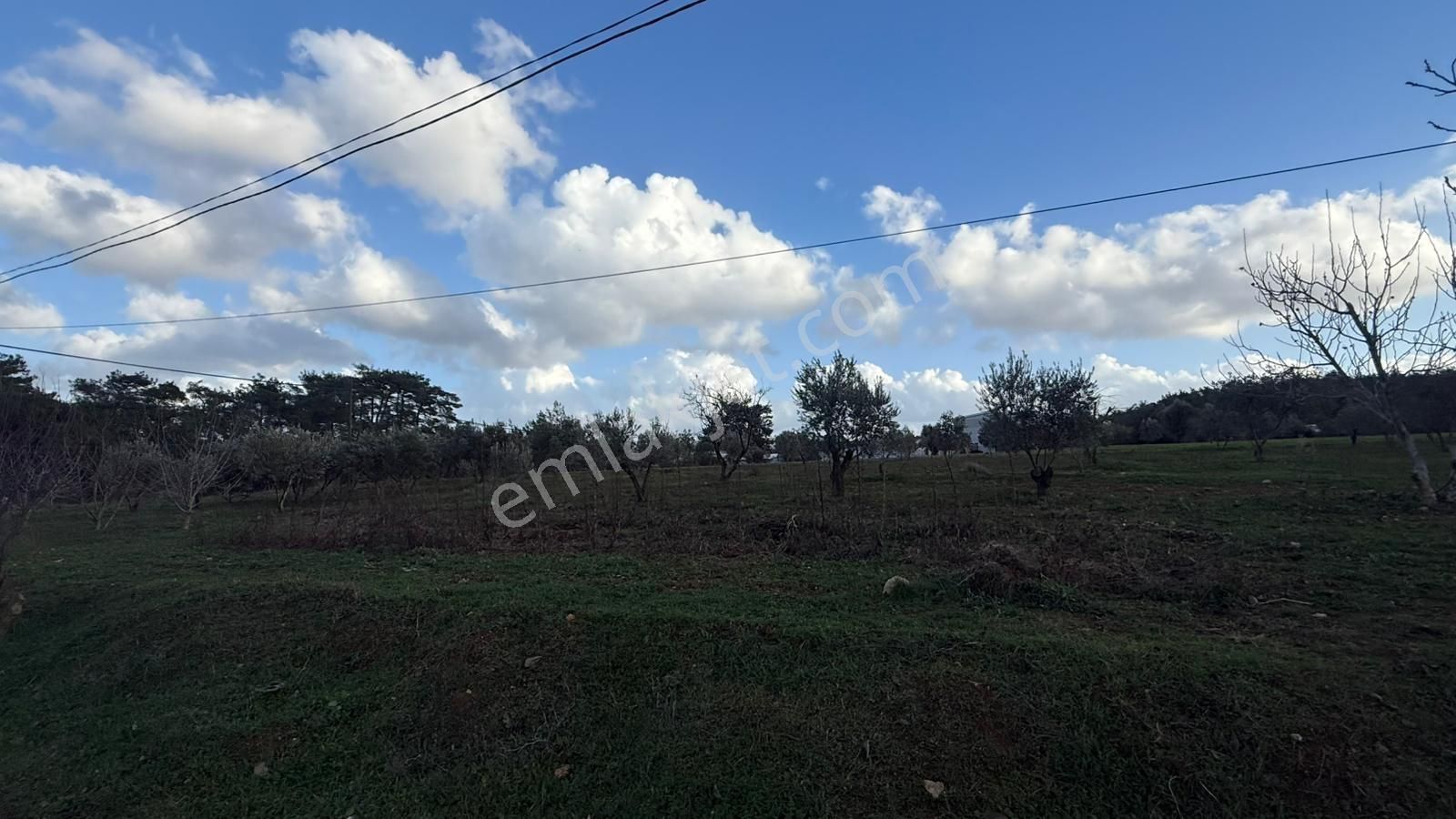 İzmir Menderes Ataköyde Cadde Üzeri 24.000 M² Satılık Arsa - Görsel 2