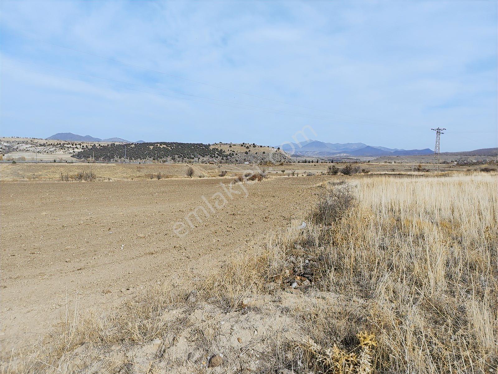 Özpınar ,dan Çavuş Köyüne 1km. Suyu Ve Yolu Olan Bahçe 1750 M2 - Görsel 16