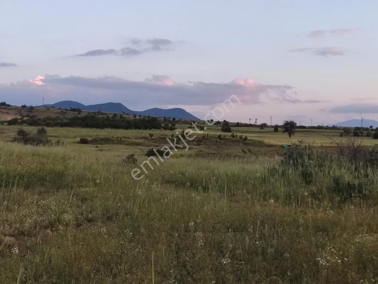 Özpınar ,dan Çavuş Köyüne 1km. Suyu Ve Yolu Olan Bahçe 1750 M2 - Görsel 30